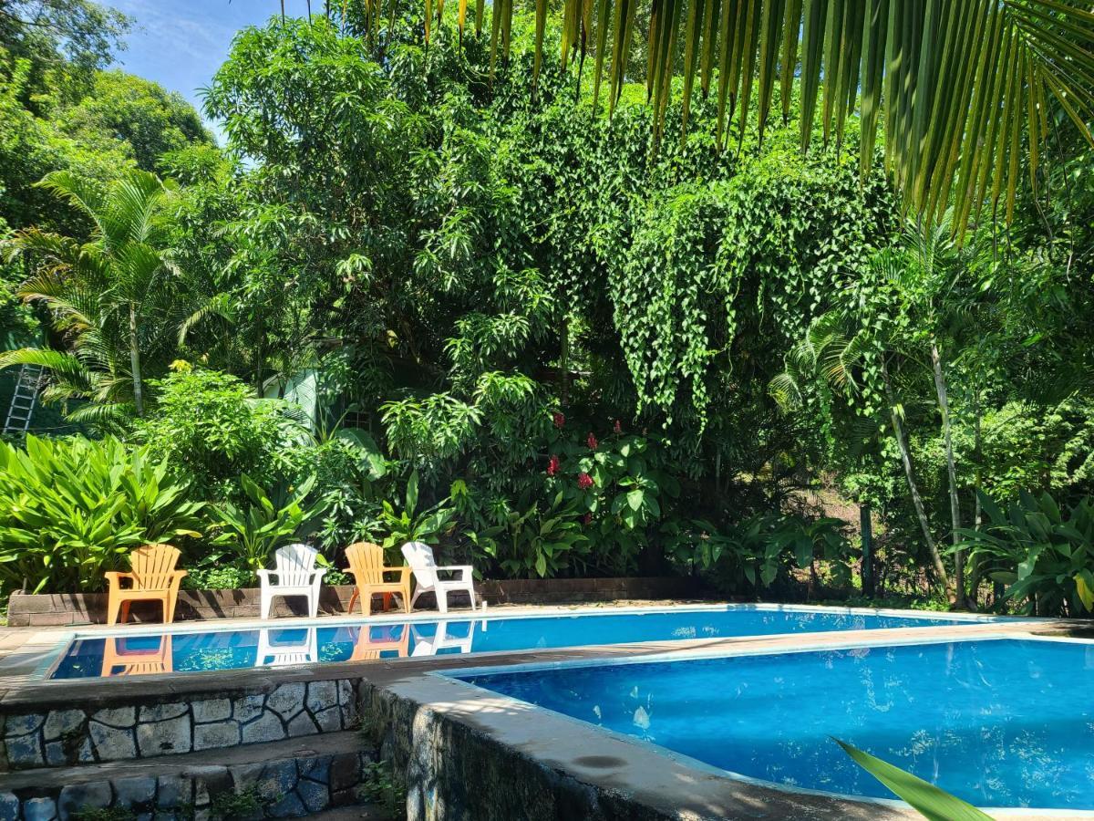 Hammock Plantation Hostel El Zonte Exterior foto